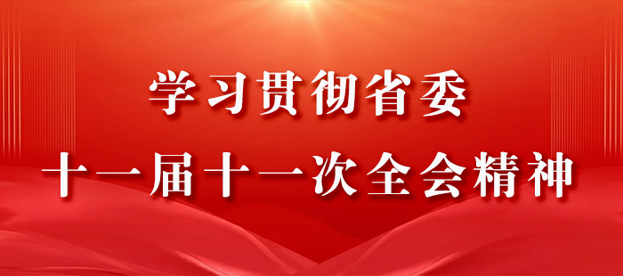 十一屆十一次全會(huì)精神