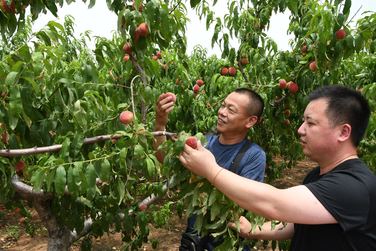 1656375284443 1656375284443