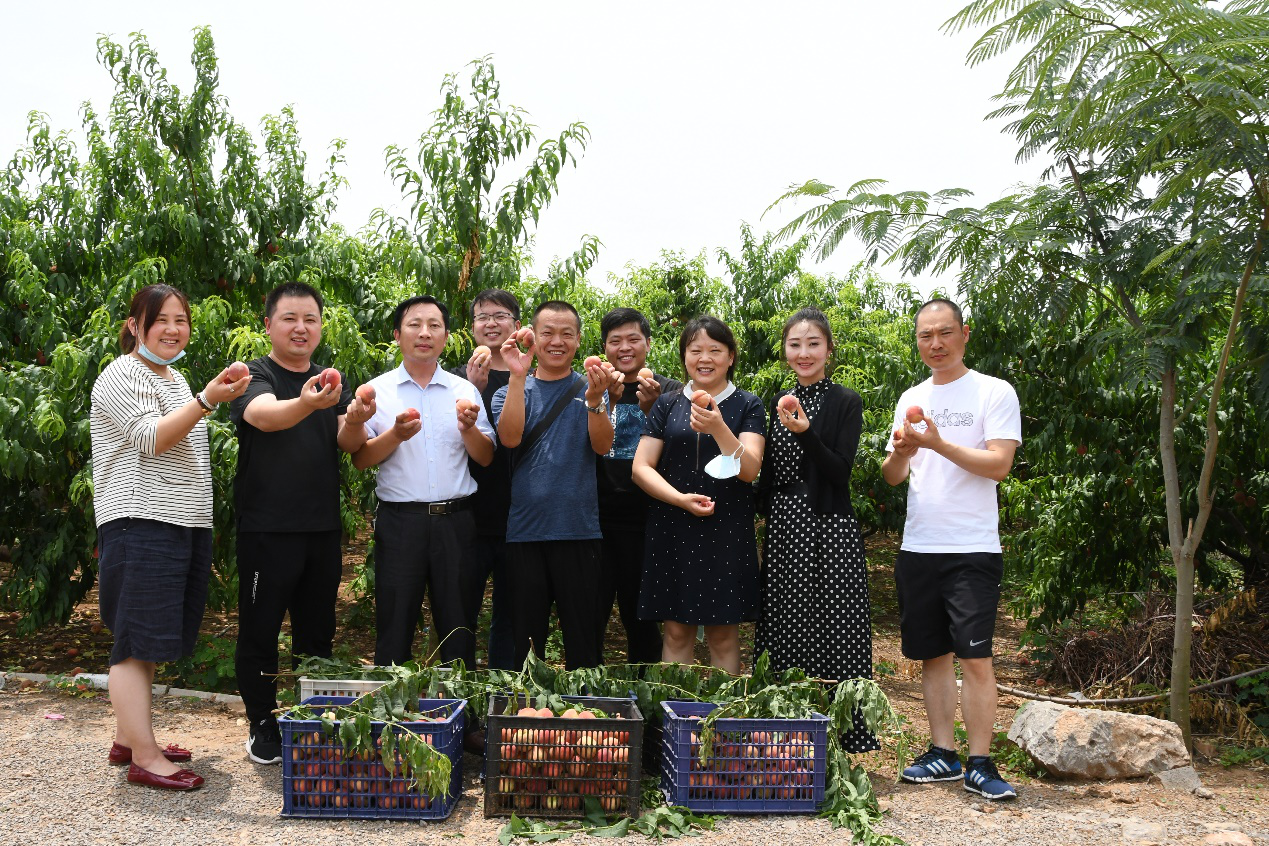 1656375434140 1656375434140