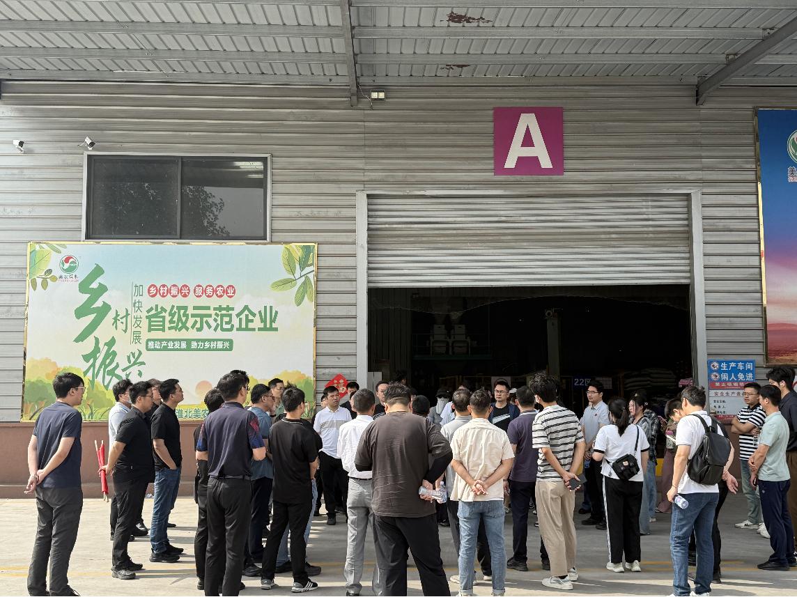 1747881733719 1747881733719